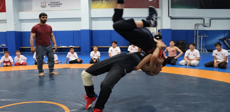 Şanlıurfa'da ata sporuna büyük ilgi! Minderler dolup taşıyor