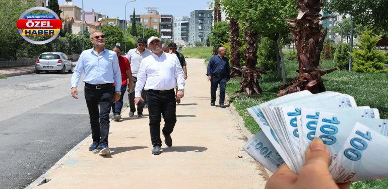 Şanlıurfa’da belediyenin başına bela olan palmiyeler!  Ağaç başına servet mi ödendi?