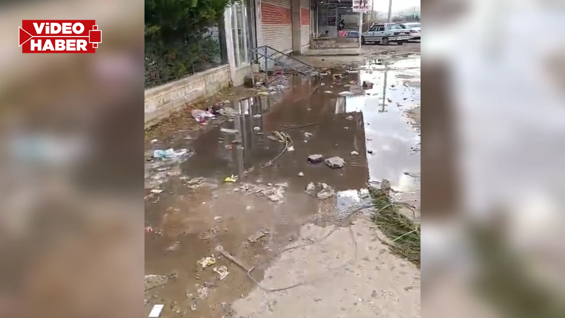 Şanlıurfa’da okul önünde endişelendiren manzara! "Sahipsizlik böyle bir şey"