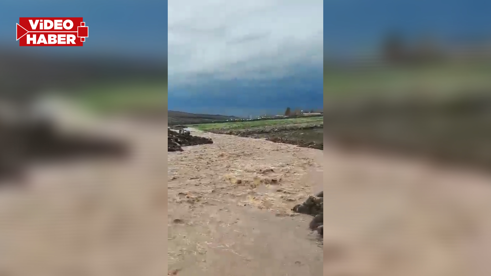 Şanlıurfa'da sağanak yağış sele yol açtı: Dereler taştı...