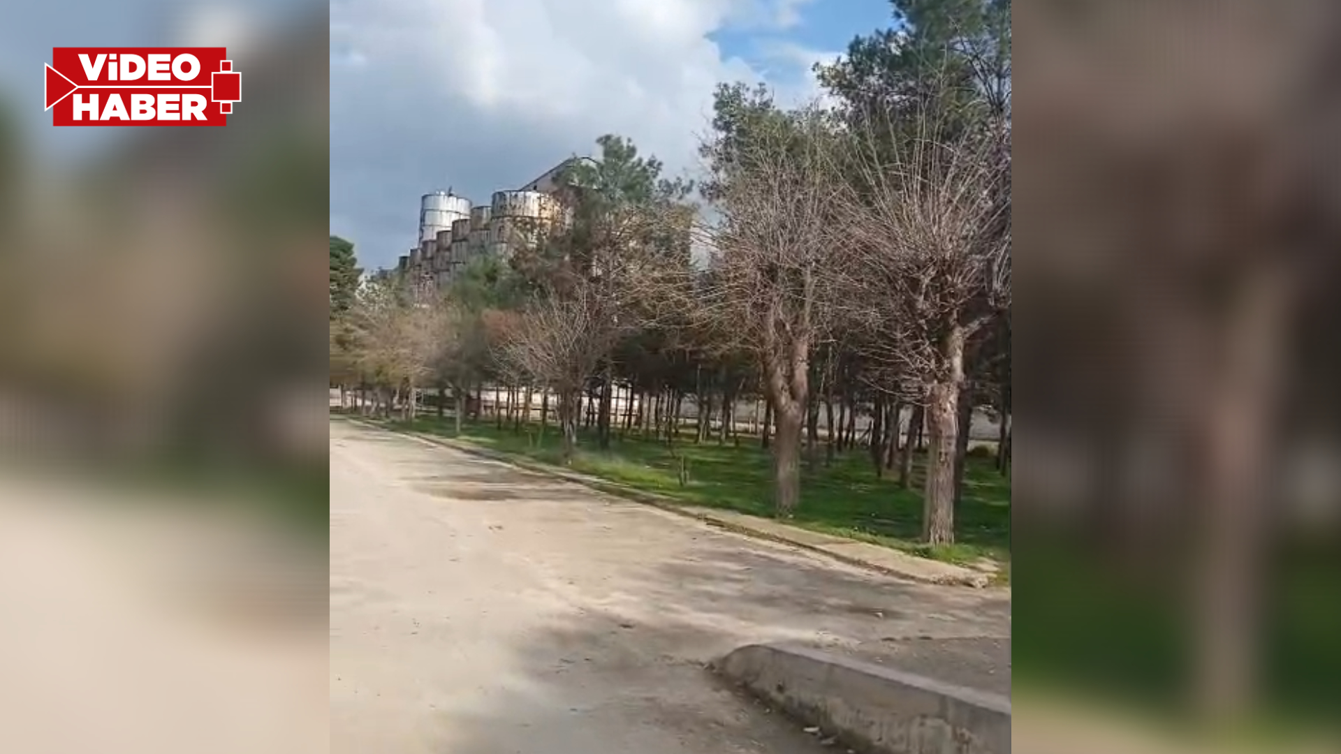 Şanlıurfalı çiftçilerden TMO kararına sert tepki! "Bu sistem çiftçiyi bitirir"