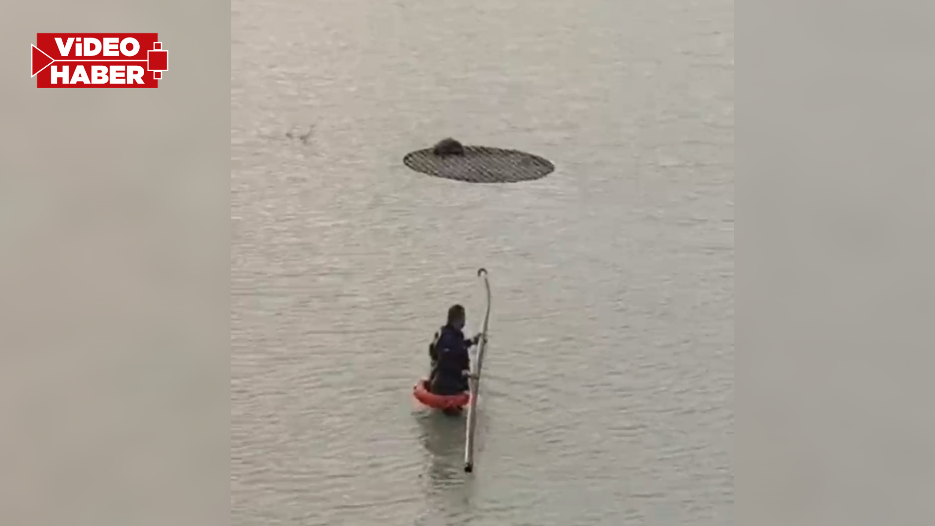 Şanlıurfa’da yürek ısıtan kurtarma operasyonu: Mahsur kalan tilki böyle çıkarıldı