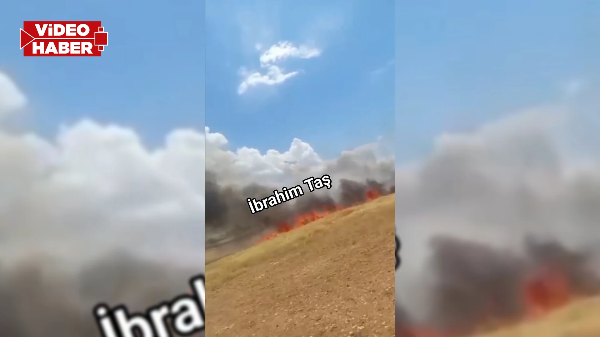 Şanlıurfa'da alev alan tarlayı traktörle kurtarmaya çalıştılar: 35 dönüm kül oldu