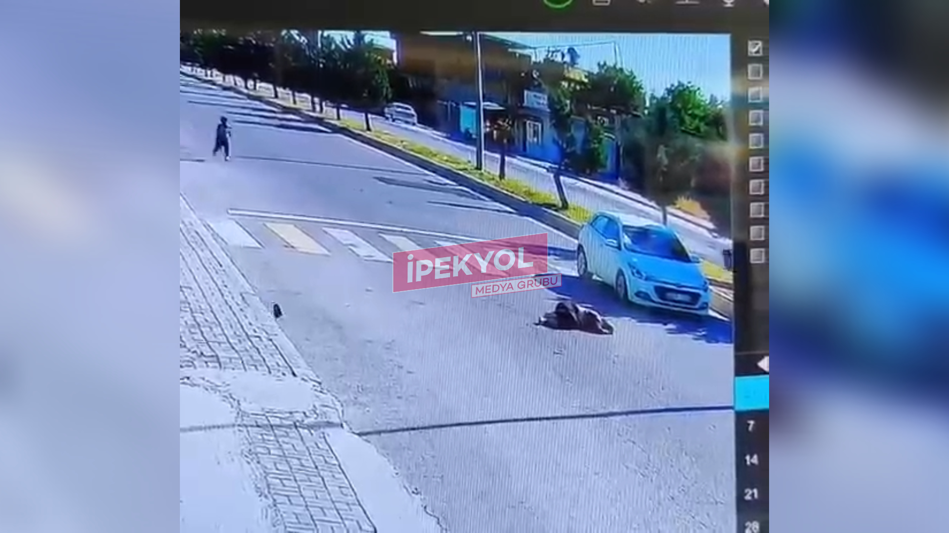 Şanlıurfa'da korkunç kaza: Otomobil yolun karşısına geçmeye çalışan kadına çarptı