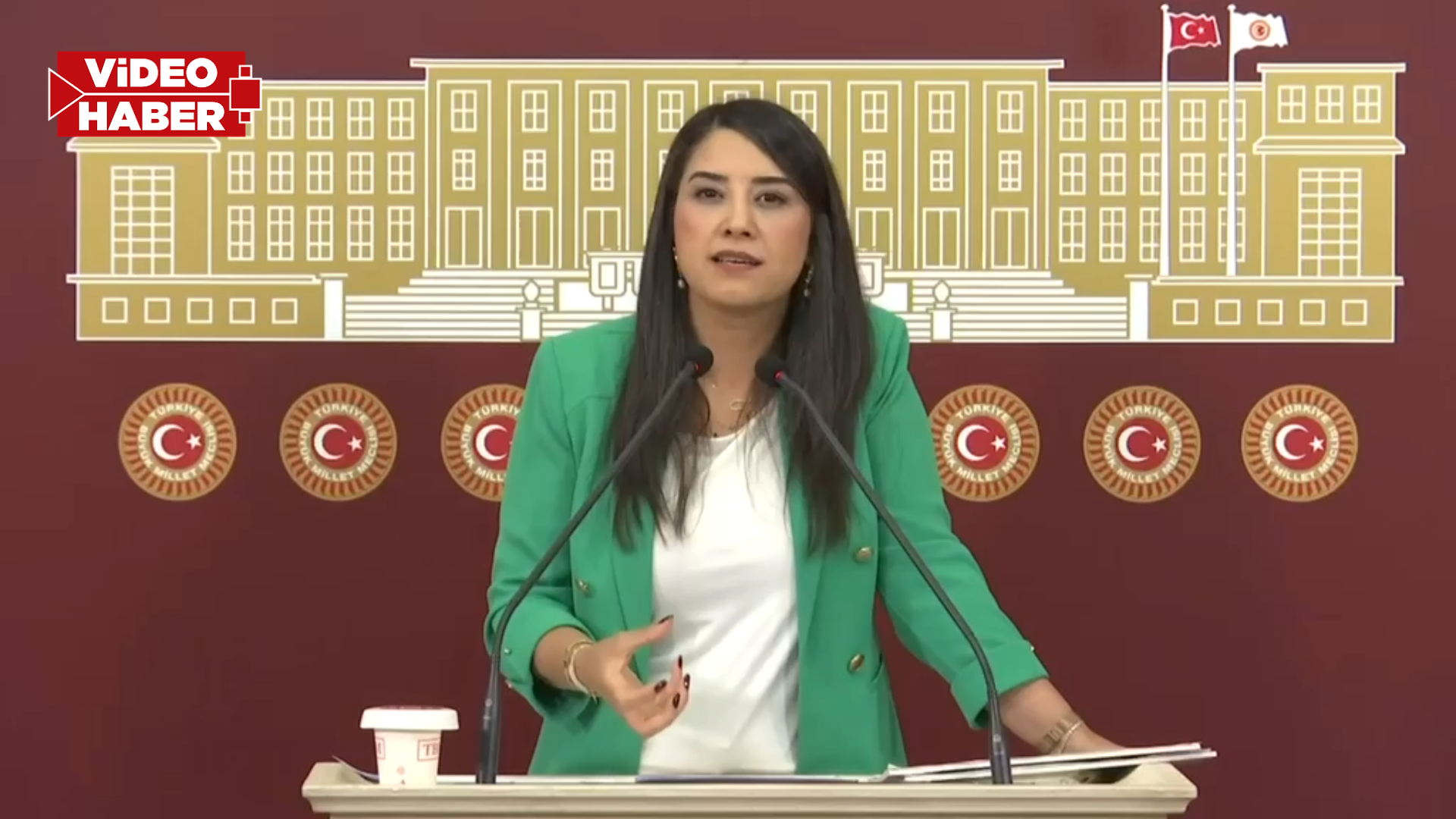 Milletvekili Ayan’dan sulama krizi tepkisi! "Tarım alanları susuz bırakılamaz"