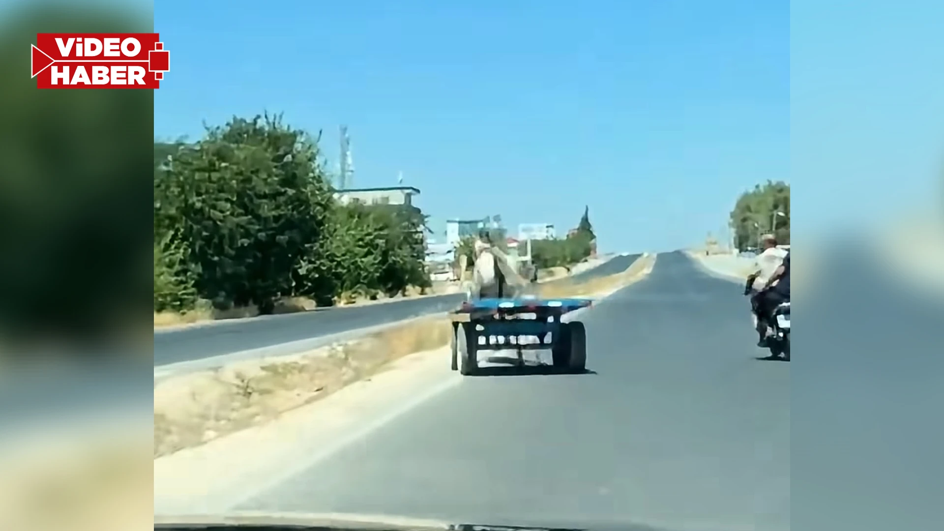 Şanlıurfa'da sahibinin elinden kaçan at, trafiği birbirine kattı