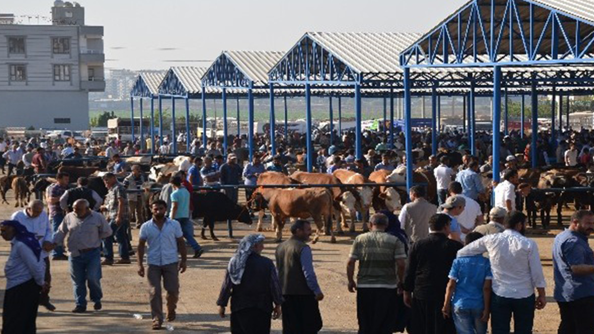 Şanlıurfa’da hayvan pazarı 48 saat kapalı olacak! İşte nedeni…