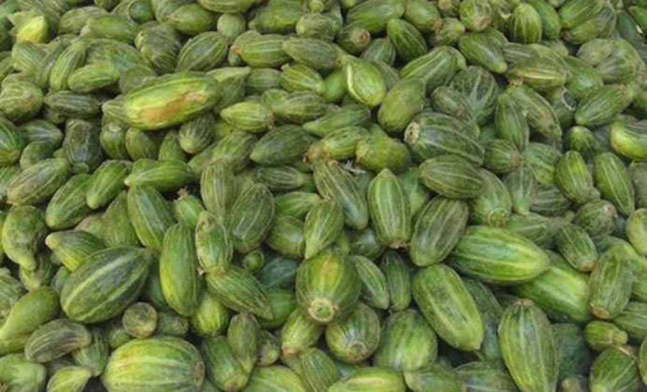 Şanlıurfa'ya özgü lezzet 'şelengo'