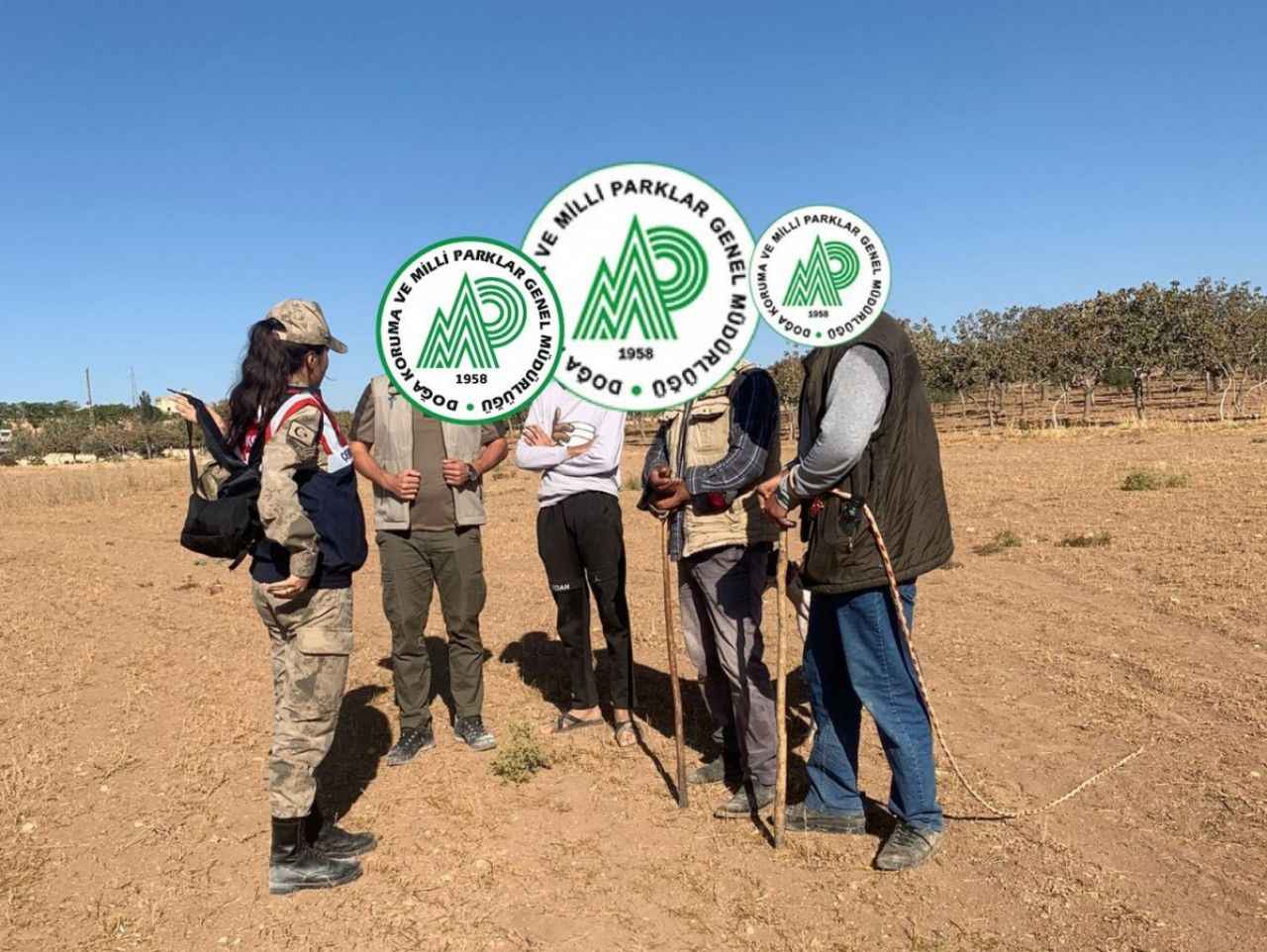 Urfa'da kaçak avcılara baskın