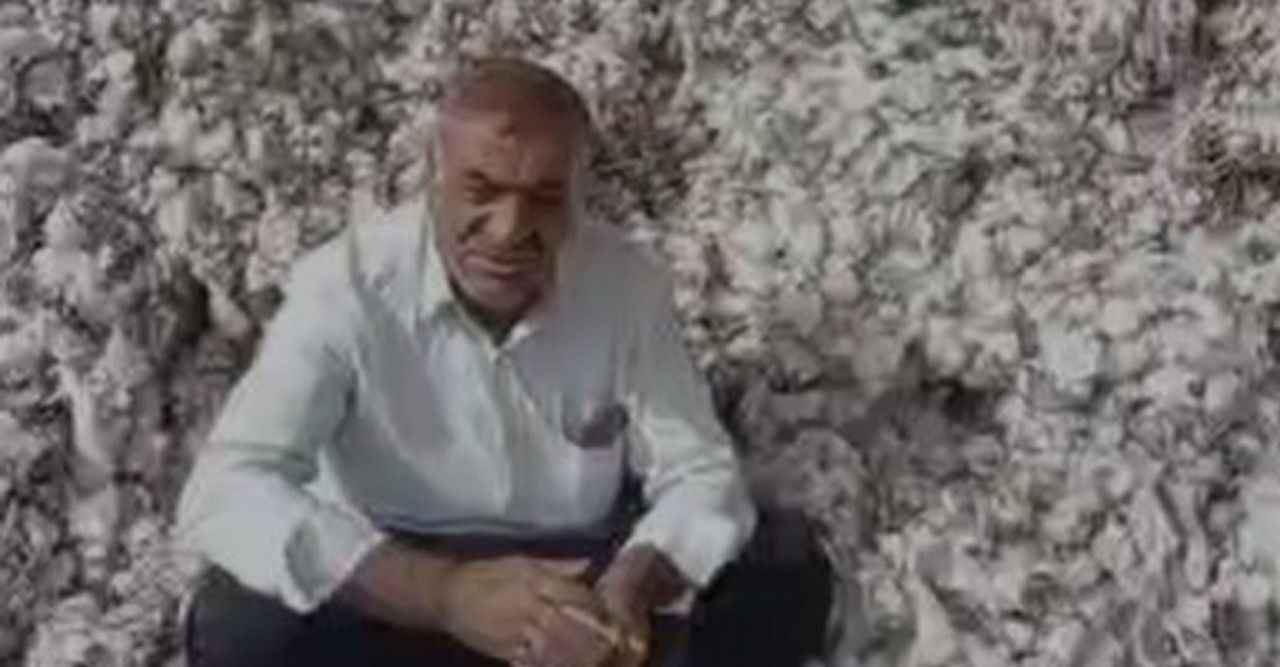 Urfalı pamuk çiftçisi tövbe etti! "Böbreğimi satsam da..."