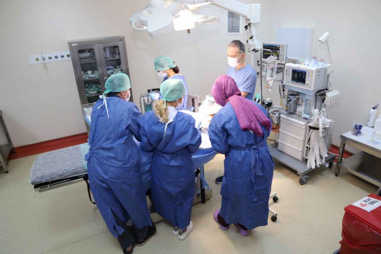 Urfa’da genel anestezi ile 562 hastaya diş tedavisi