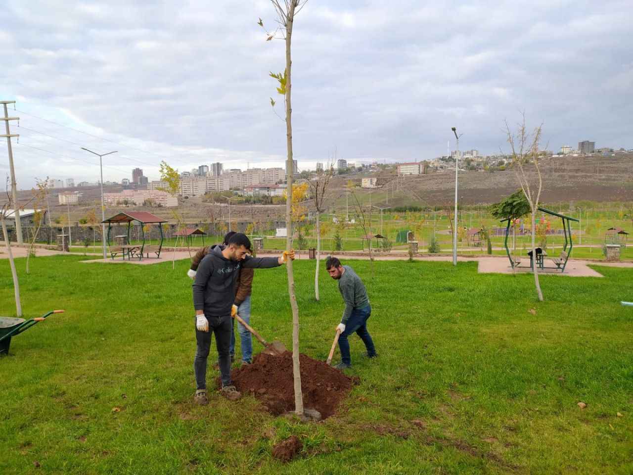 Siverek’te park ve bahçelere yeni ağaçlar dikildi