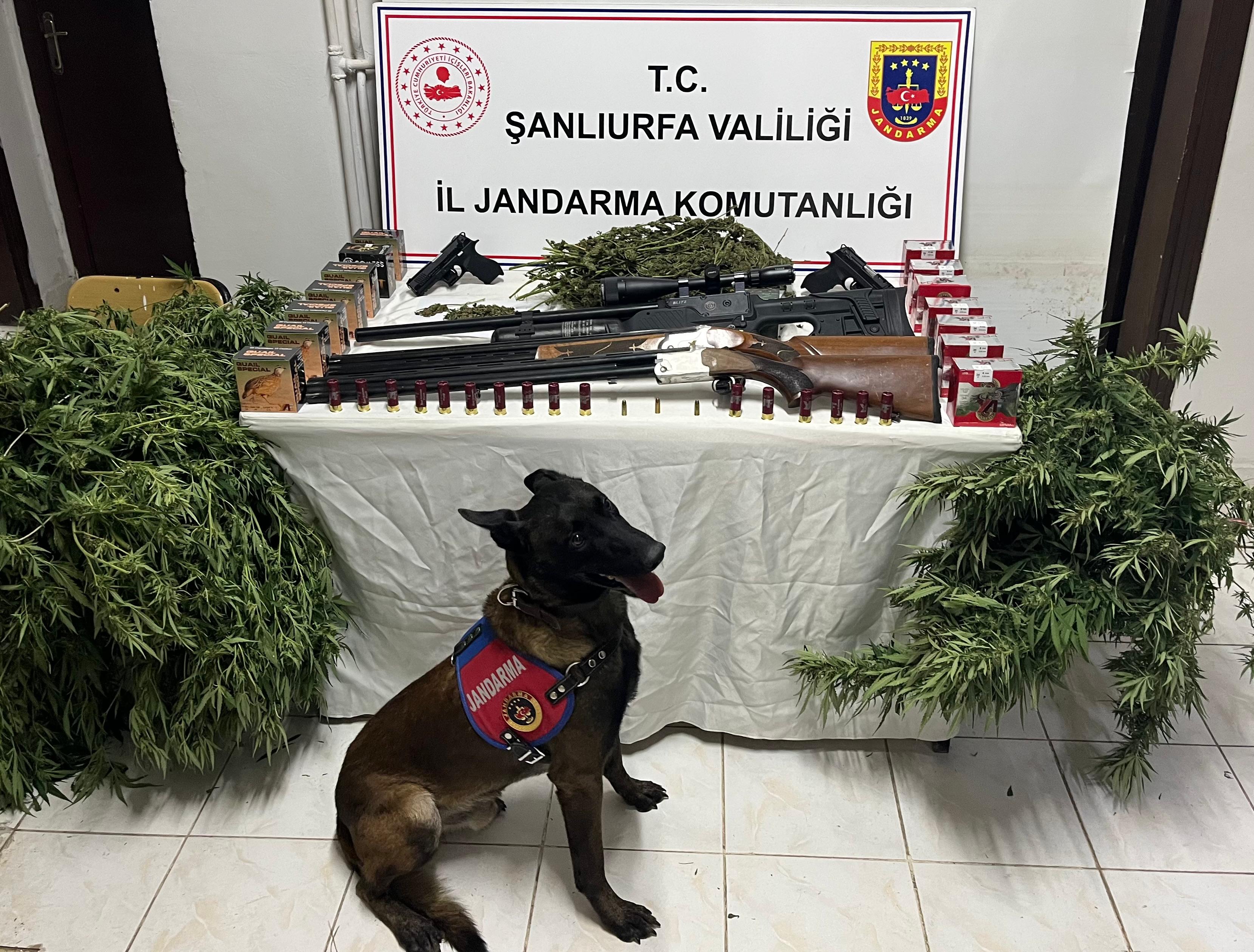 Şanlıurfa’da jandarma evleri tek tek aradı! Neler çıktı neler…