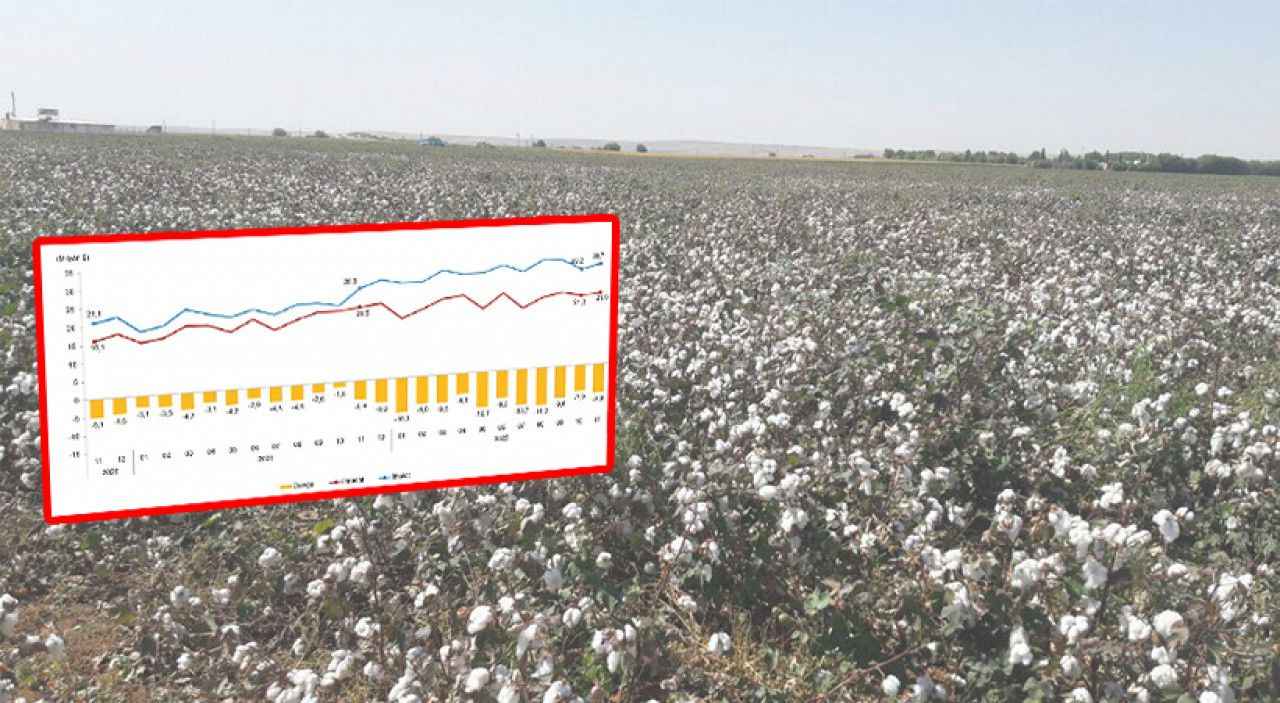 Şanlıurfa’nın ithalat ve ihracat verileri açıklandı