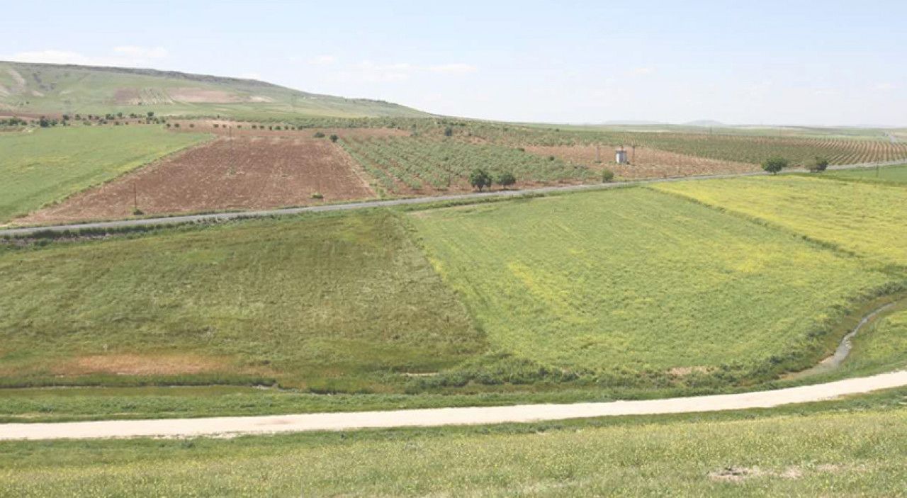 Tarımsal destek ödemeleri çiftçilerin hesaplarına aktarılıyor