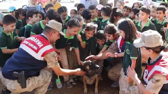 Şanlıurfa’da "Hayvanları Koruma Günü" etkinliği