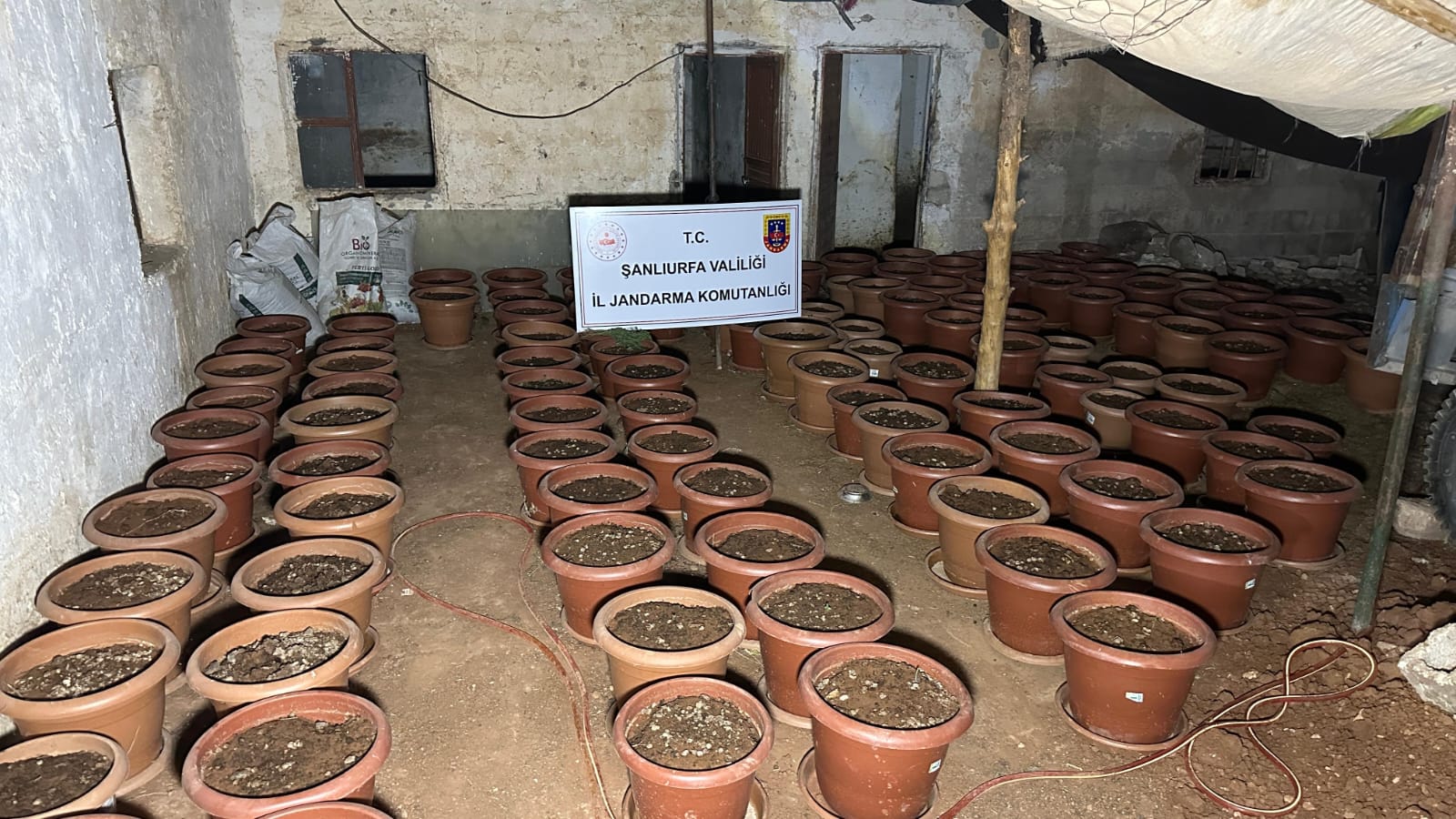 Şanlıurfa’da operasyonda ele geçirilenler ağızları açık bıraktı!