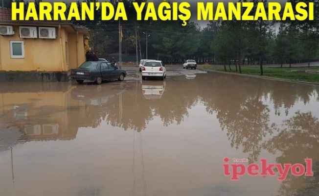 Artık tiye alıyorlar: Aney kalk bir zılgıt çal, Harran'a su geldi!