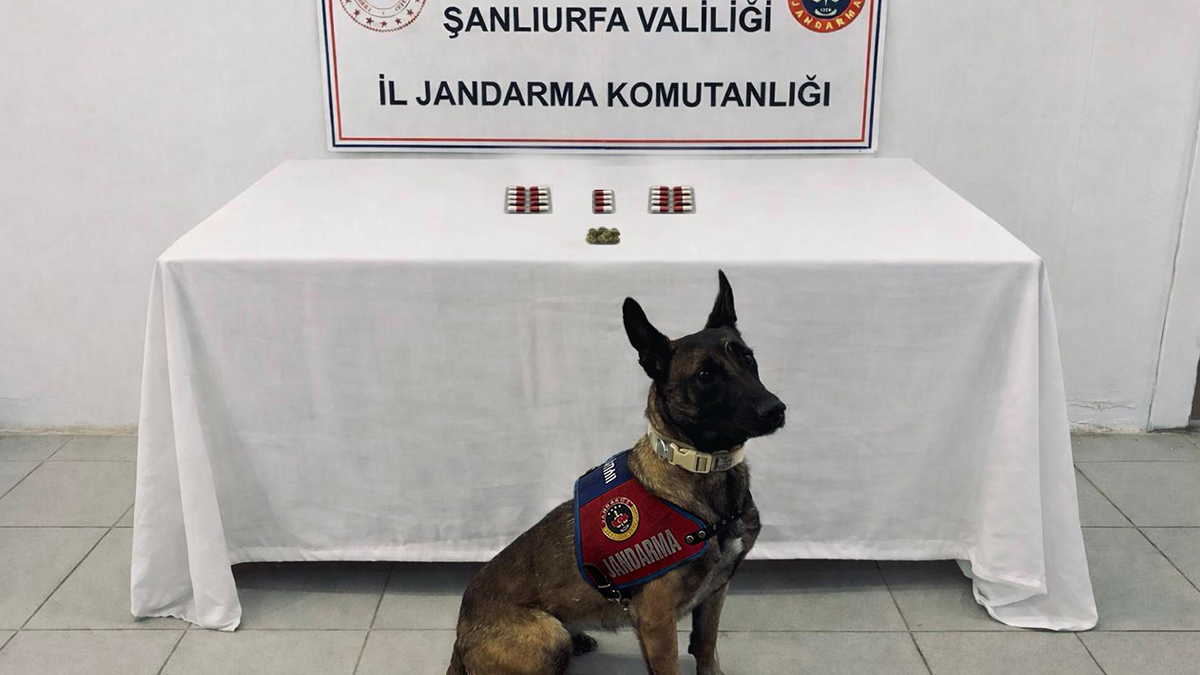 Şanlıurfa jandarmasından narkotik pençesi! Şüphelilere adli işlem