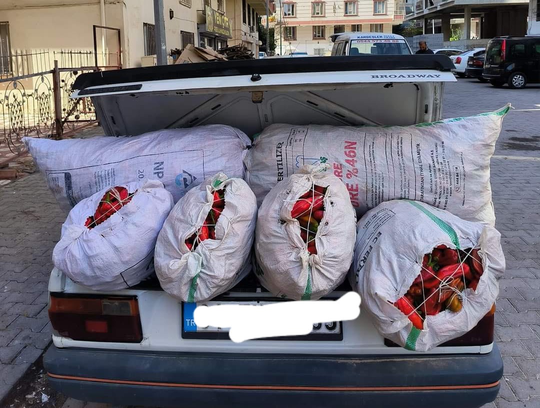 Şanlıurfa'da kırmızı biber kaç liradan satıldı? İşte yeni fiyatı