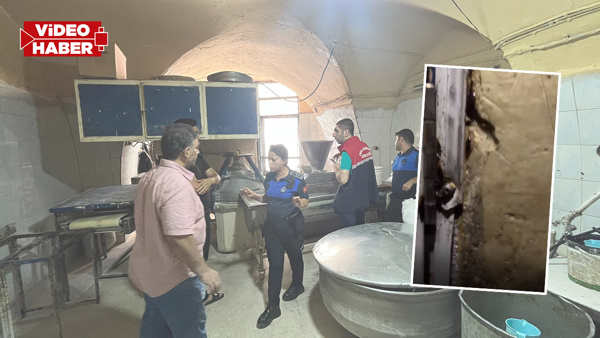 Şanlıurfa’da denetimde mide bulandıran görüntüler! İşletmeye ceza yağdı