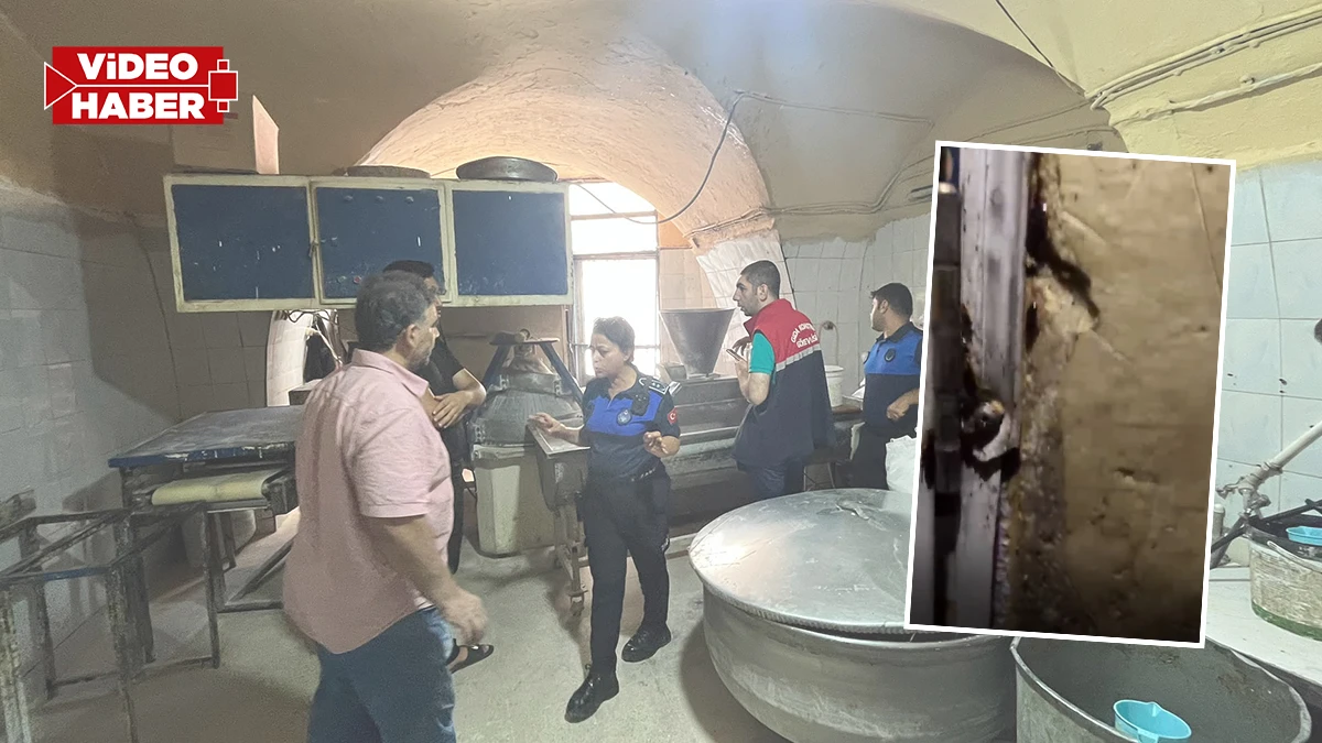 Şanlıurfa’da denetimde mide bulandıran görüntüler! İşletmeye ceza yağdı