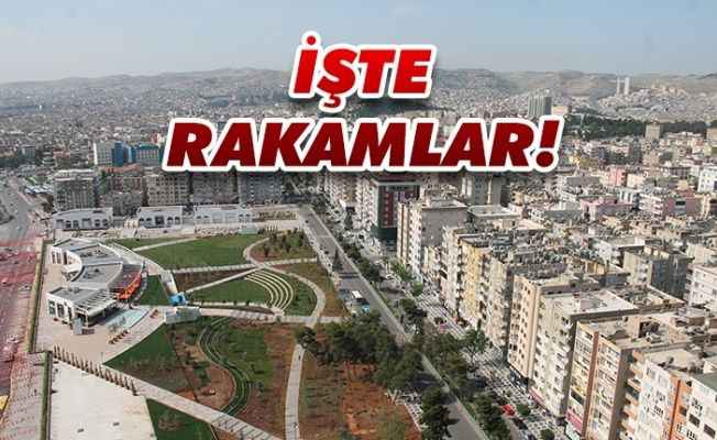 Türkiye genelinde düşerken Urfa’da arttı!