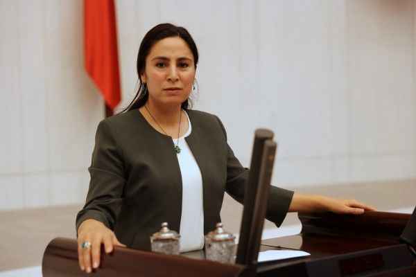 Vekil Sürücü, Siverek'teki olayı TBMM'ye taşıdı