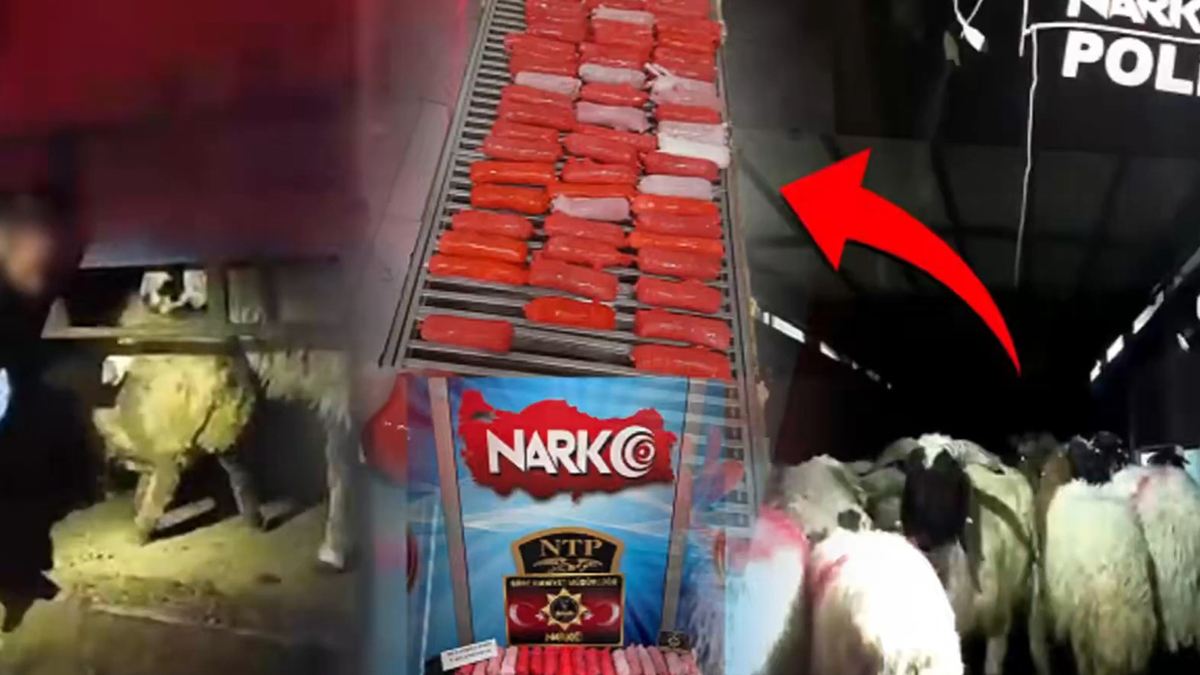 Uyuşturucu kartelleri şeytanı geçti! Onun bile aklına gelmez...