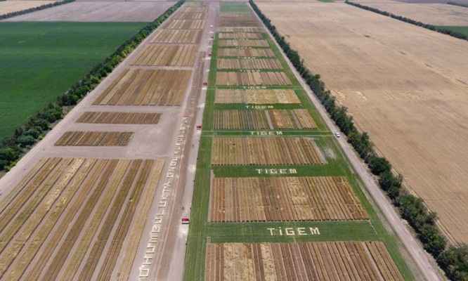 TİGEM'e 145 personel alınacağı duyuruldu