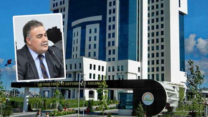 Daire Başkanı Özbek görevden alındı