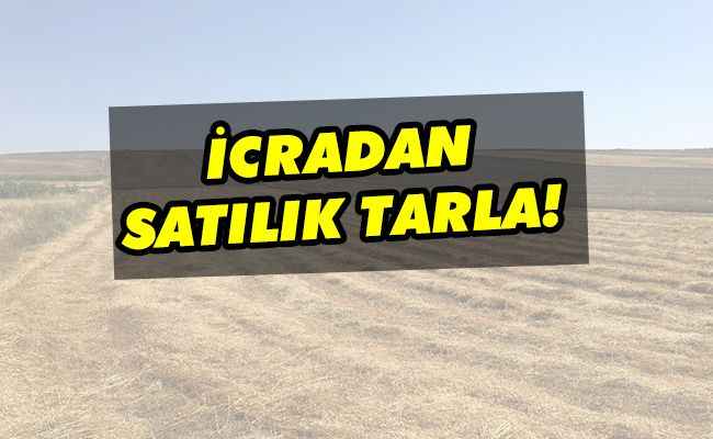 Urfa’da icradan satılık tarla