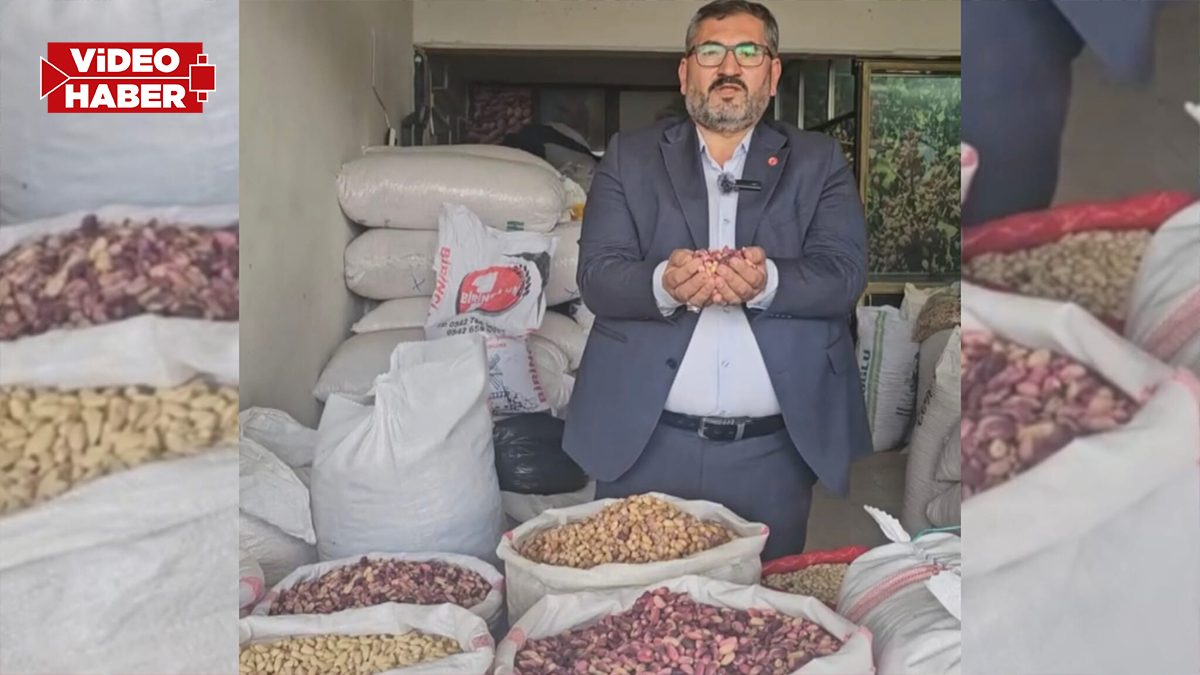 Şanlıurfa’da fıstık rekoltesi arttı, fiyat düştü: İthalatı durdurun çağrısı