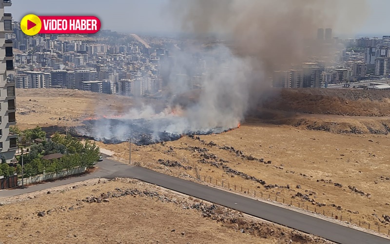 Şanlıurfa’da askeri alanda korkutan yangın!