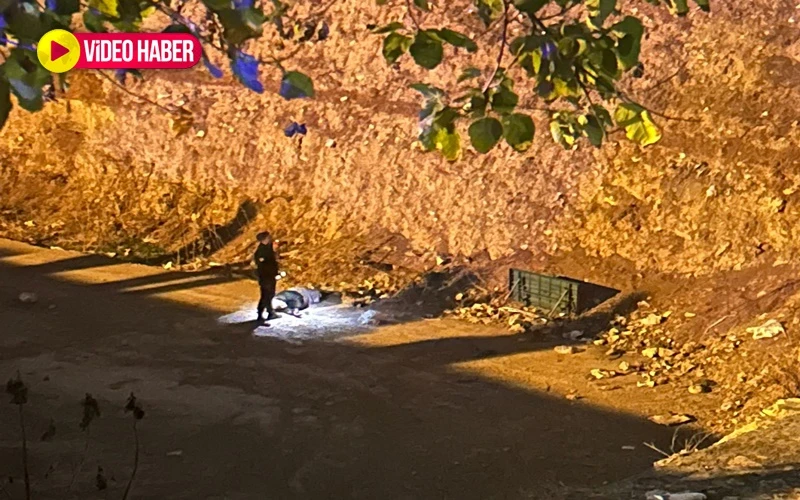 Şanlıurfa’da korkunç olay! Zemine çakıldı