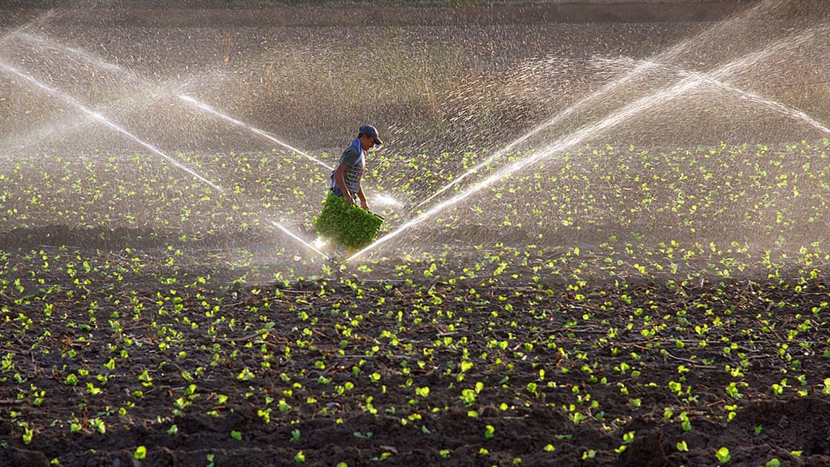 Çiftçilerden zam iddilarına tepki! “Üretim yapmamız söz konusu olmaz”