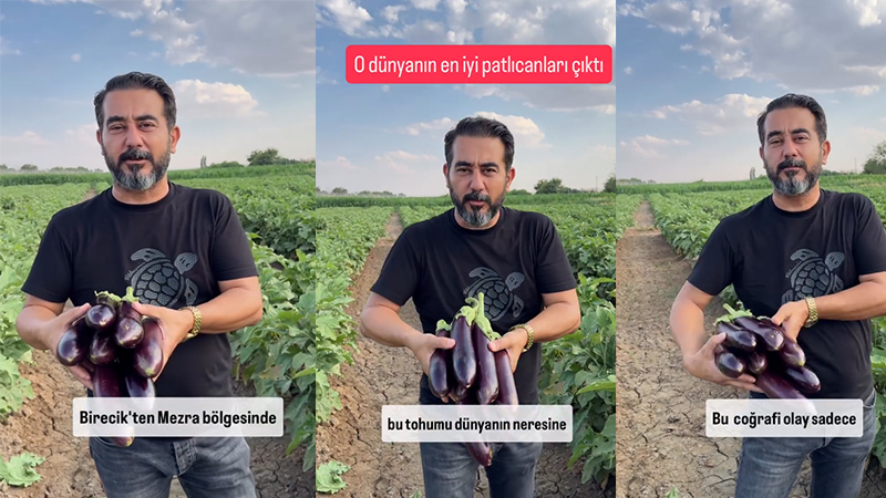 Şanlıurfa patlıcanı ile karagülün ortak kaderi