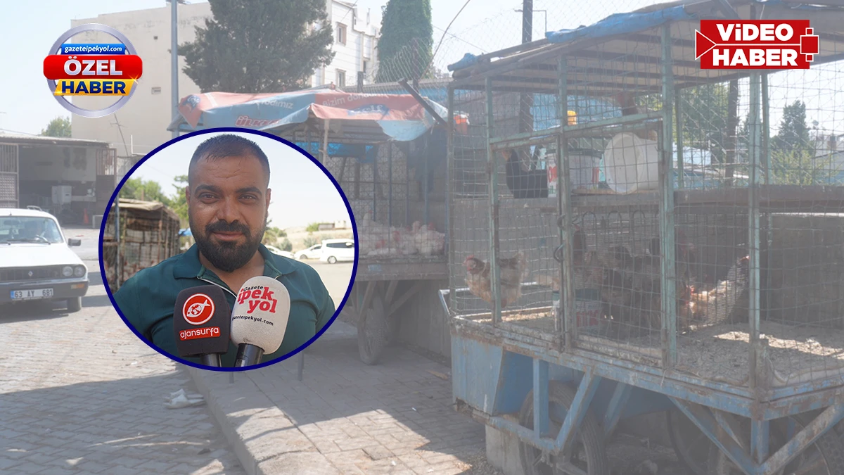 Şanlıurfa’da 'kanatlı' pazarı sonbaharla canlandı!