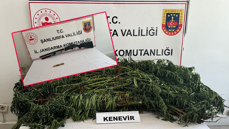 Şanlıurfa’da tarla ve evde çıkanlar ‘yok artık’ dedirtti!