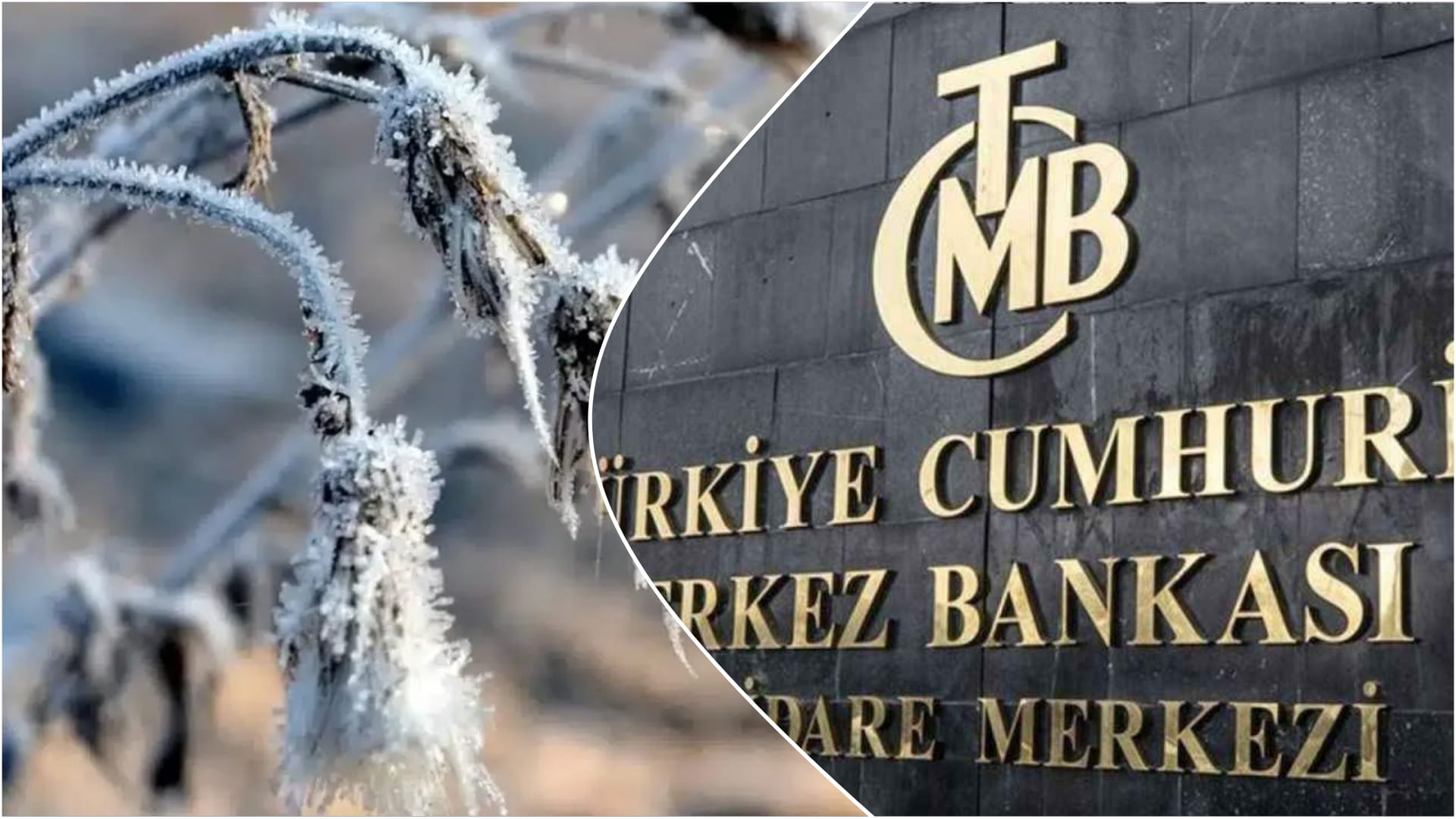 Merkez Bankası uyardı: Zirai don enflasyonun seyrini etkiliyor