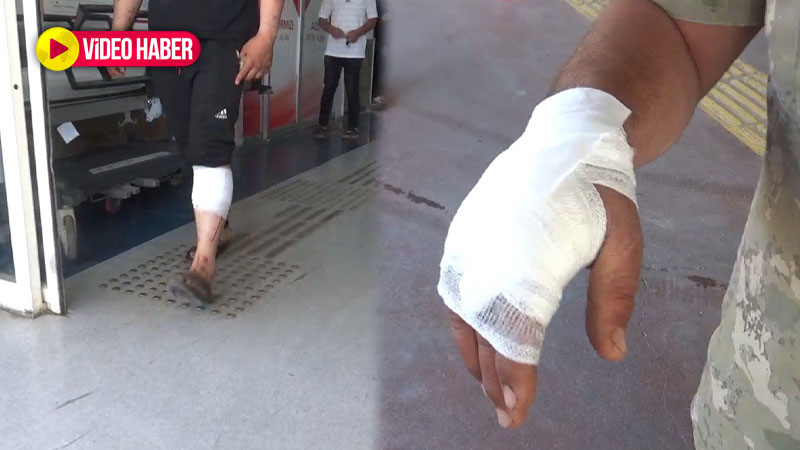 Şanlıurfa’da bilanço belli oldu! 176 yaralı