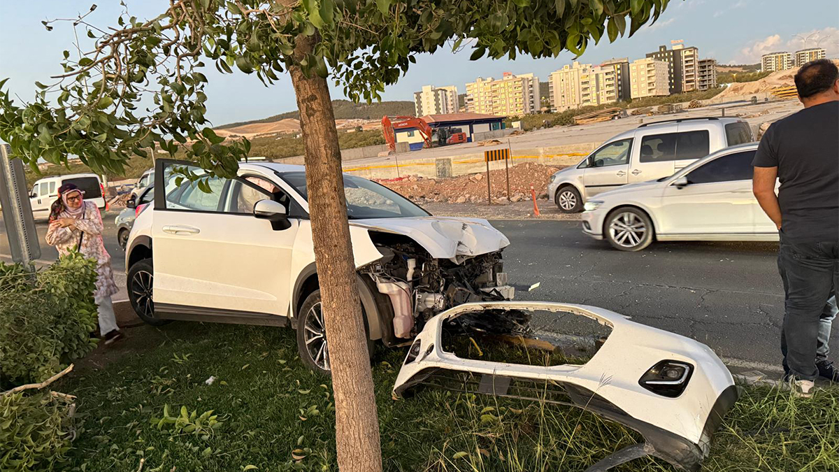 Şanlıurfa’da korkutan kaza! Otomobil ağaca çarptı
