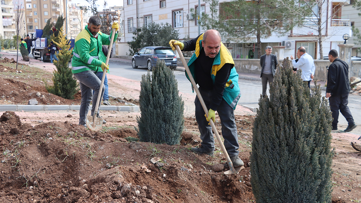 Karaköprü’de bahar coşkusu! Yeni park ağaçlarla donatıldı