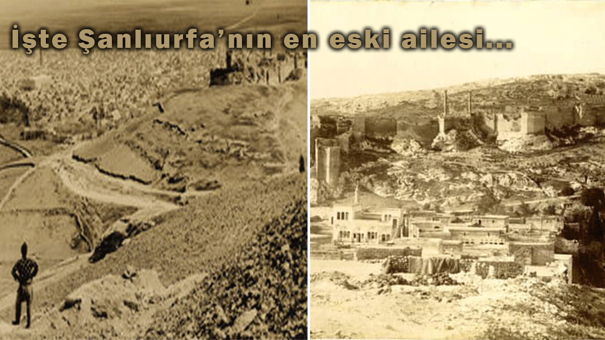 Şanlıurfa’nın en eski ailesi belli oldu