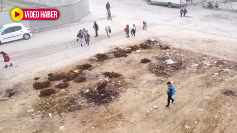 Akçakale'de öğrenciler gübreden rahatsız! Belediye işlem başlattı