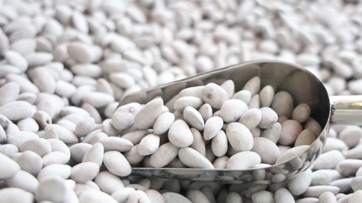 Şanlıurfa’dan gidiyor Elazığ’da ‘beyaz altın’a dönüşüyor