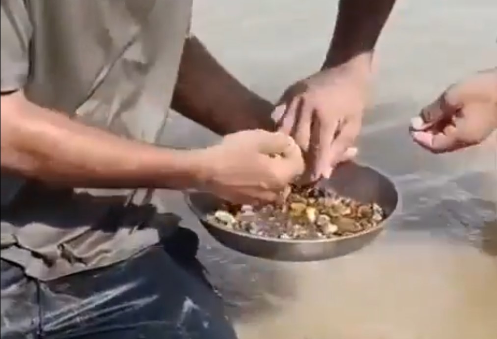Sular çekilince altın için Fırat Nehri’ne akın ettiler