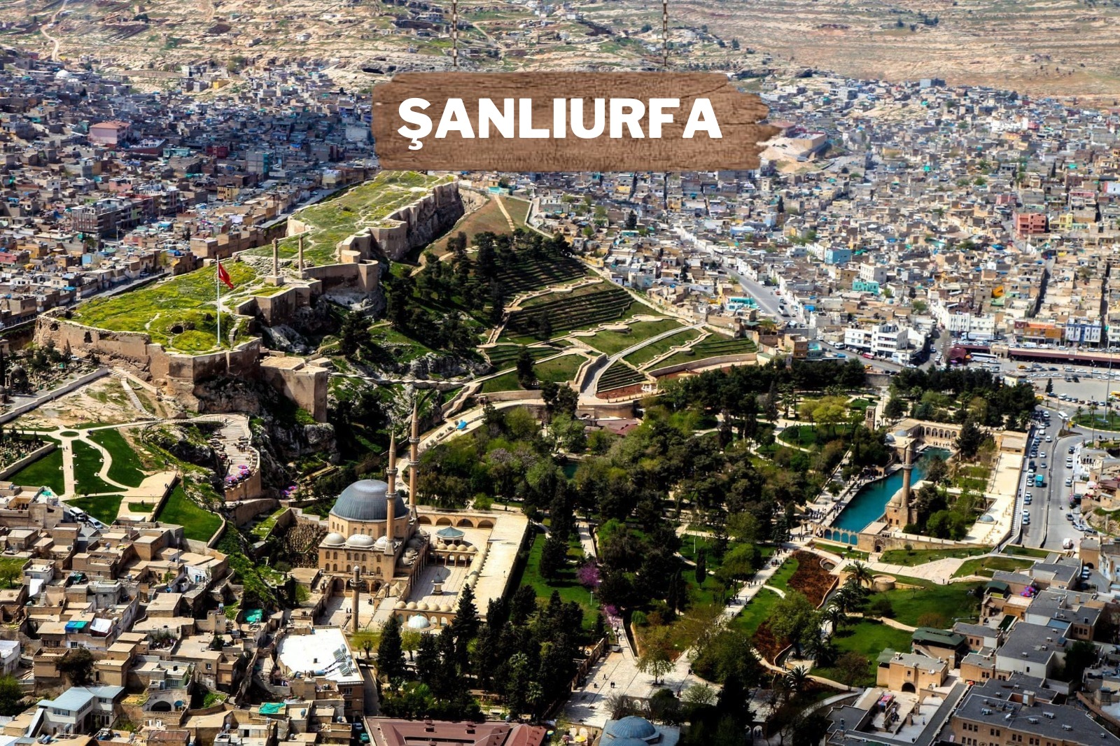 Aman nazar değmesin! Şanlıurfa uzun süre sonra ilk kez…