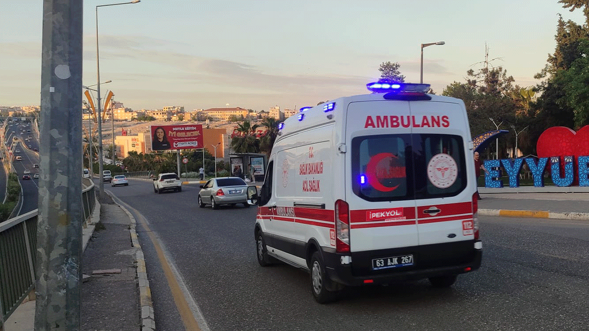 Şanlıurfa’da korku dolu anlar! Köpek saldırısında 1 kişi yaralandı