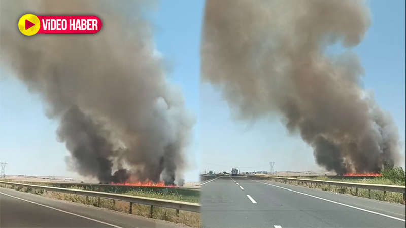 Şanlıurfa’da anız yangını trafiği tehlikeye attı